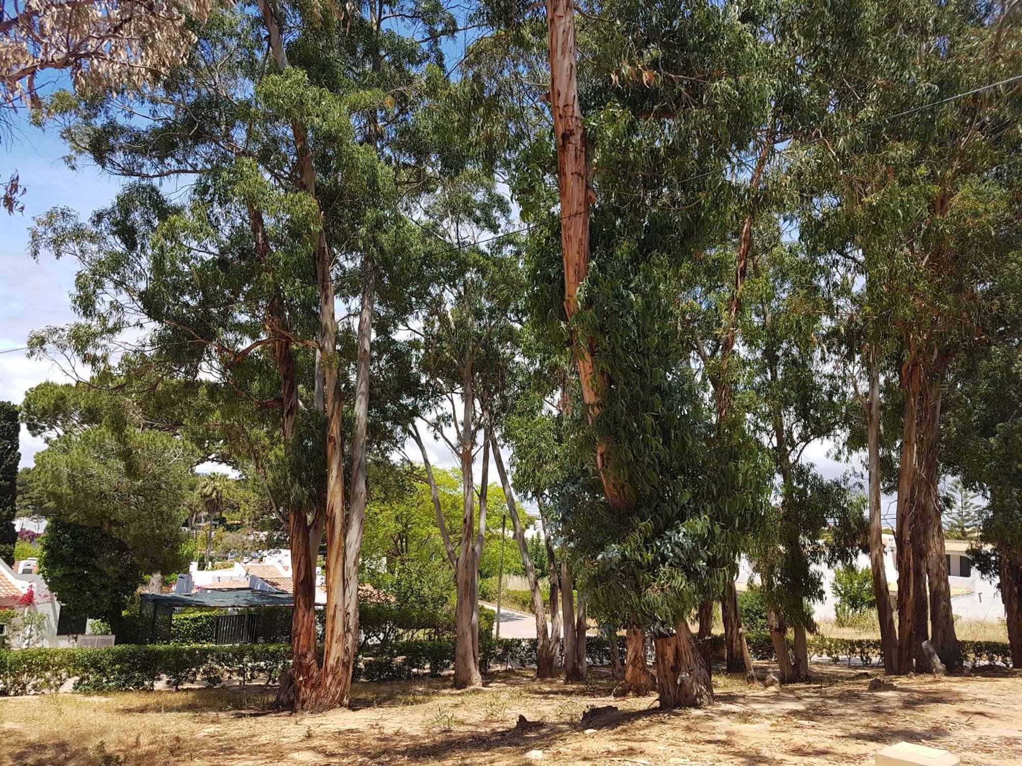 Hotel Balaia Gardens, Jardins Da Balaia Albufeira Zewnętrze zdjęcie